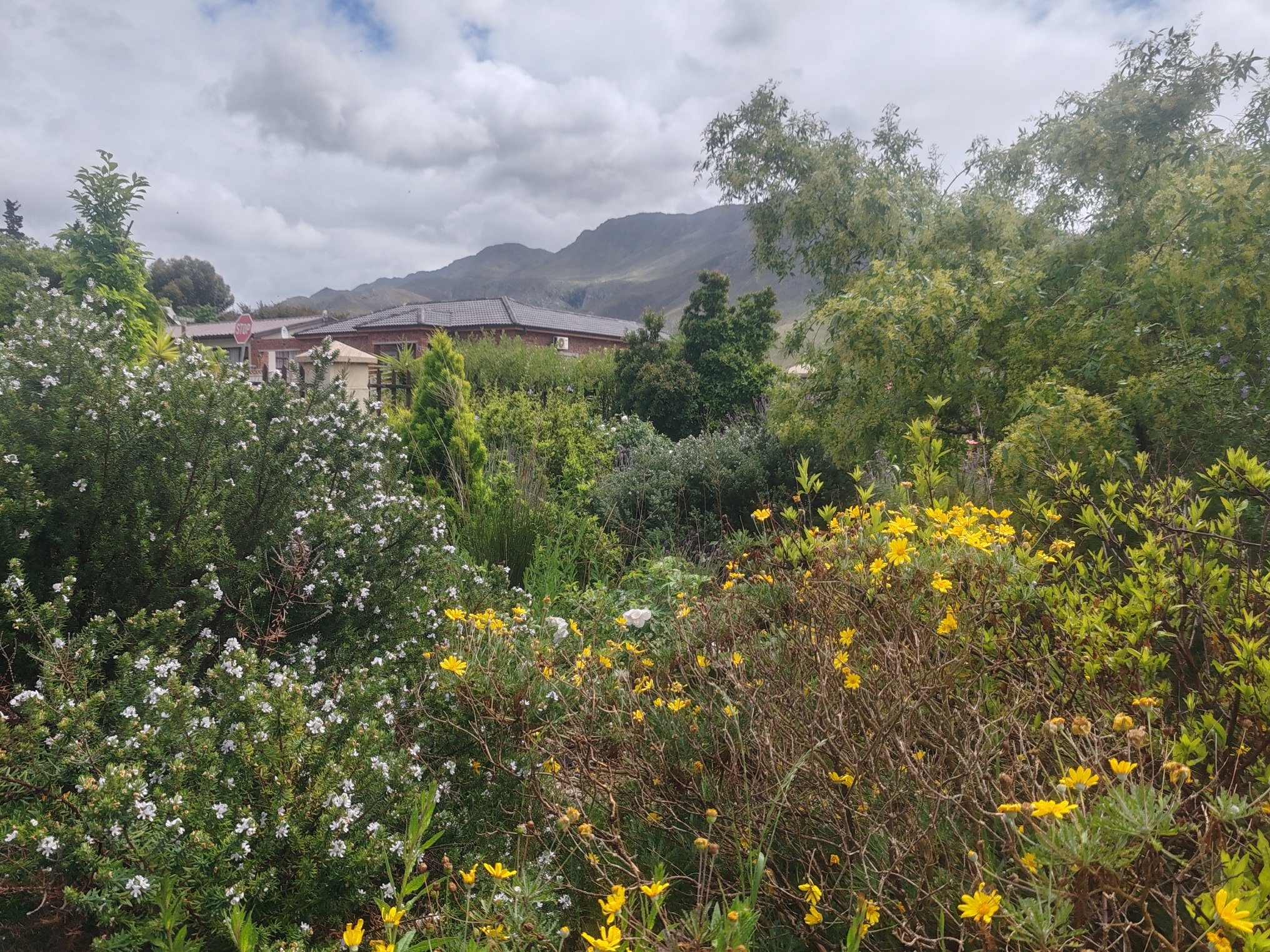 2 Bedroom Property for Sale in Bot River Western Cape